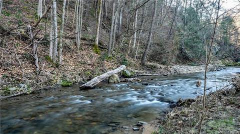 101 Garnet Rdg, Marshall, NC 28753 photo 35