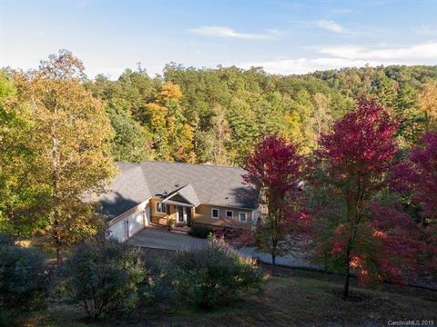 125 N Mountain Ln, Mill Spring, NC 28756 photo 1