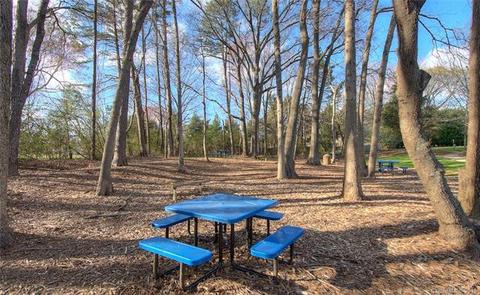 10245 Meadow Crossing Ln, Cornelius, NC 28031 photo 30