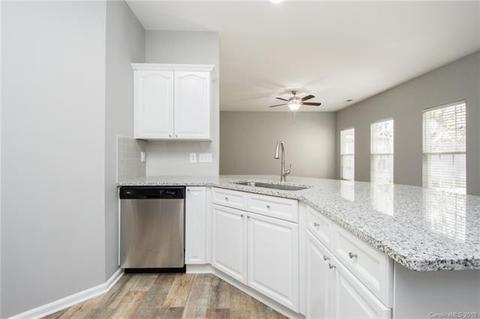 10245 Meadow Crossing Ln, Cornelius, NC 28031 photo 4
