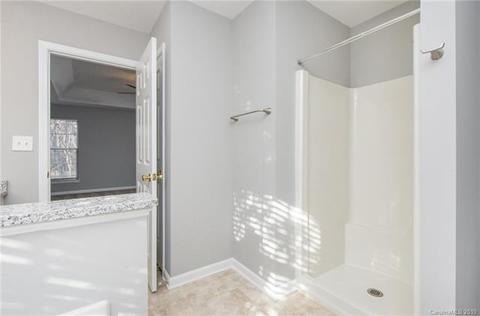 10245 Meadow Crossing Ln, Cornelius, NC 28031 photo 22