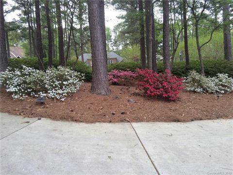 19017 Meta Rd, Cornelius, NC 28031 photo 29