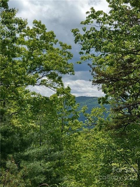 000 Dogwood E1 Ln #E1, Penrose, NC 28766