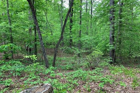 1325 Mcentire Rd, Tryon, NC 28782 photo 38
