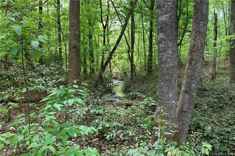 1325 Mcentire Rd, Tryon, NC 28782 photo 36