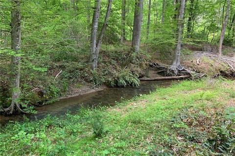 1325 Mcentire Rd, Tryon, NC 28782 photo 35