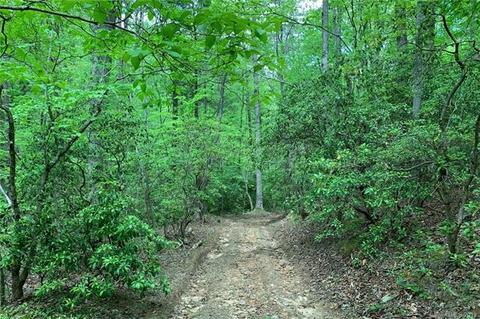 1325 Mcentire Rd, Tryon, NC 28782 photo 39