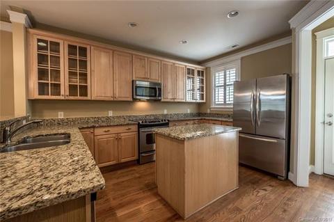 311 Davidson Gateway Dr, Davidson, NC 28036 photo 14