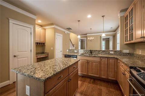311 Davidson Gateway Dr, Davidson, NC 28036 photo 16