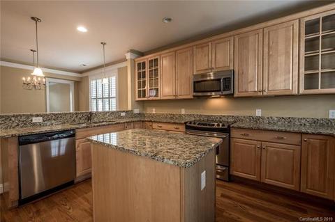 311 Davidson Gateway Dr, Davidson, NC 28036 photo 15