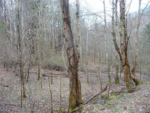 1272 N Fork Rd, Marshall, NC 28753 photo 19