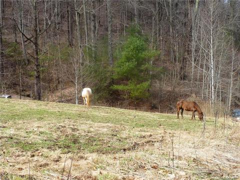 1272 N Fork Rd, Marshall, NC 28753 photo 12