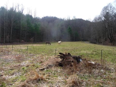 1272 N Fork Rd, Marshall, NC 28753 photo 4