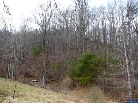 1272 N Fork Rd, Marshall, NC 28753 photo 6