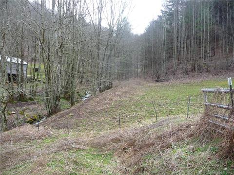 1272 N Fork Rd, Marshall, NC 28753 photo 7
