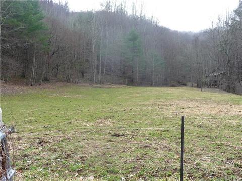 1272 N Fork Rd, Marshall, NC 28753 photo 9