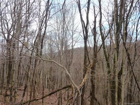 1272 N Fork Rd, Marshall, NC 28753 photo 21