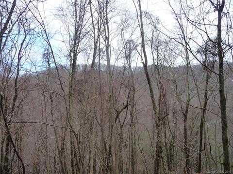 1272 N Fork Rd, Marshall, NC 28753 photo 20