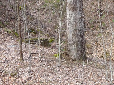 1272 N Fork Rd, Marshall, NC 28753 photo 23