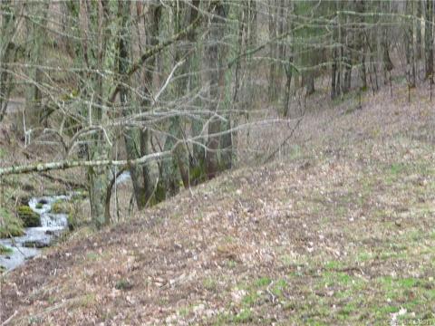 1272 N Fork Rd, Marshall, NC 28753 photo 8