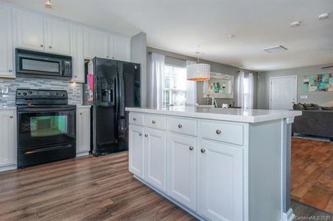 10029 Caldwell Depot Rd, Cornelius, NC 28031 photo 9