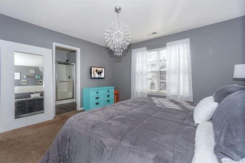 10029 Caldwell Depot Rd, Cornelius, NC 28031 photo 22