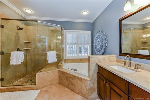 18743 Dembridge Dr, Davidson, NC 28036 photo 20