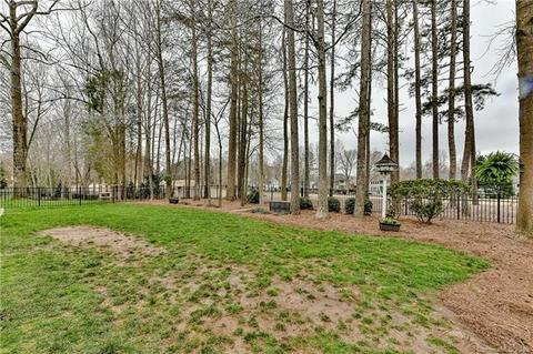 18743 Dembridge Dr, Davidson, NC 28036 photo 29