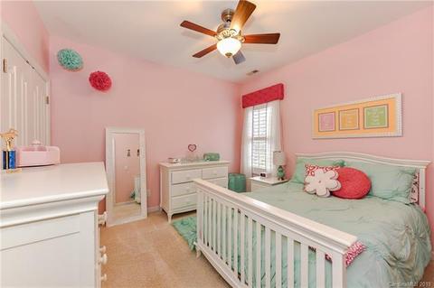 18743 Dembridge Dr, Davidson, NC 28036 photo 23