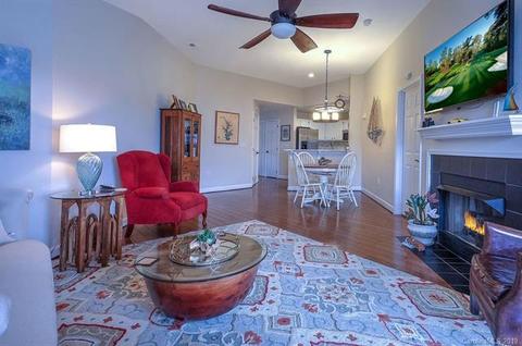 1133 Torrence Cir, Davidson, NC 28036 photo 4