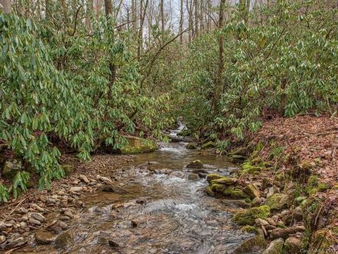 155 Pisgah Mountain Rd, Canton, NC 28716 photo 6
