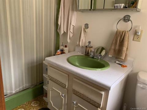 224 Good Neighbor Ln, Brevard, NC 28712 photo 9