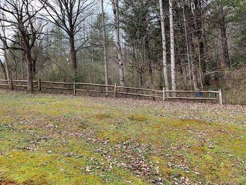 224 Good Neighbor Ln, Brevard, NC 28712 photo 16
