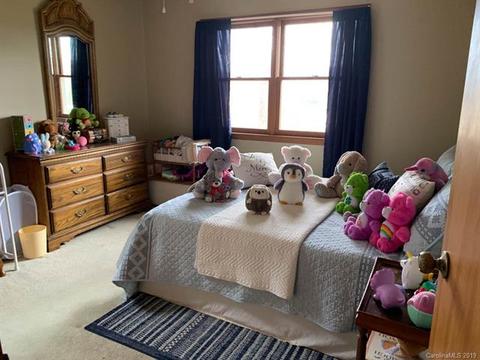 224 Good Neighbor Ln, Brevard, NC 28712 photo 7