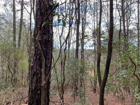 224 Good Neighbor Ln, Brevard, NC 28712 photo 25