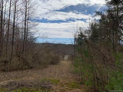224 Good Neighbor Ln, Brevard, NC 28712 photo 24