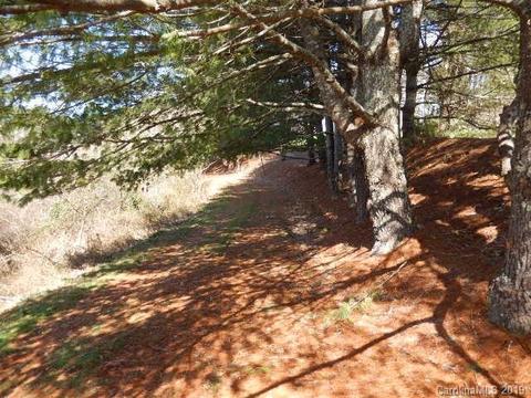 348 Sandy Bottom Rd, Marshall, NC 28753 photo 5