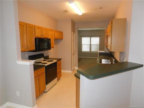 18645 Oakhurst Blvd, Cornelius, NC 28031 photo 8