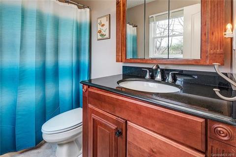 19 Pine Ridge Trl, Arden, NC 28704 photo 17