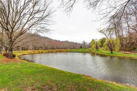 19 Pine Ridge Trl, Arden, NC 28704 photo 33