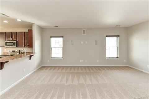 10906 Tailwater St, Davidson, NC 28036 photo 16