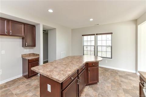 10906 Tailwater St, Davidson, NC 28036 photo 12