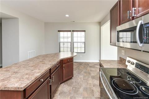 10906 Tailwater St, Davidson, NC 28036 photo 11