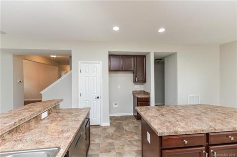 10906 Tailwater St, Davidson, NC 28036 photo 13