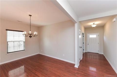 10906 Tailwater St, Davidson, NC 28036 photo 18