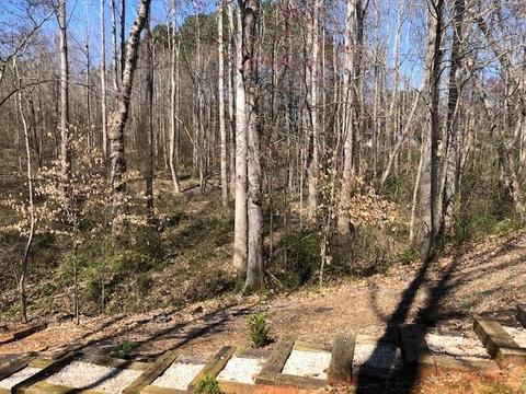 2204 Burris Rd, Conover, NC 28613 photo 4