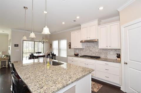 1142 Ellington Downs Way, Monroe, NC 28110 photo 21