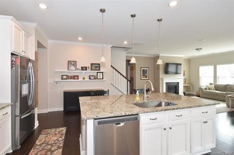 1142 Ellington Downs Way, Monroe, NC 28110 photo 20