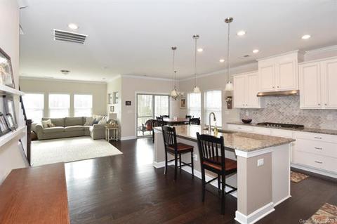1142 Ellington Downs Way, Monroe, NC 28110 photo 14