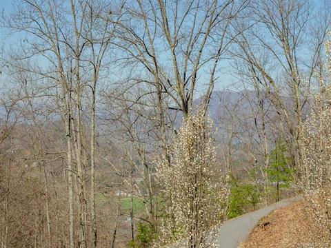 22 Blake Dr, Canton, NC 28716 photo 4